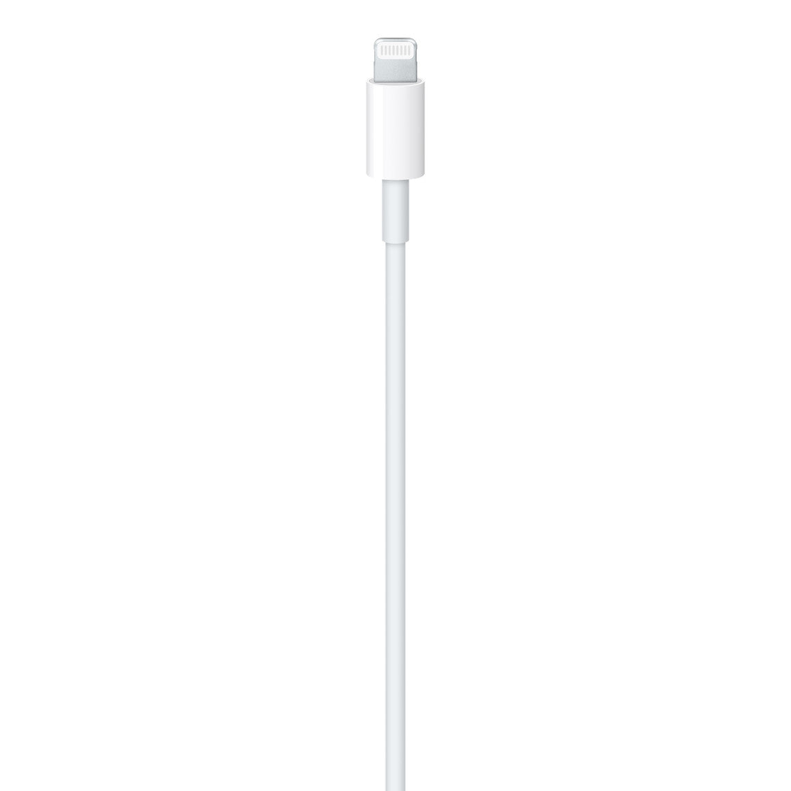 Official Apple C to Lightning Cable