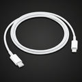 Official Apple C to Lightning Cable
